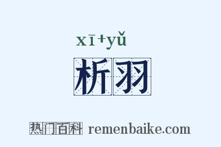 析羽是什么意思的图片